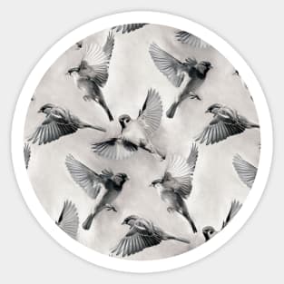 Sparrow Flight - monochrome Sticker